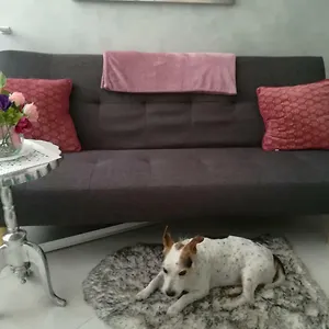 https://apartment-ines-split-21000.splithotels.org